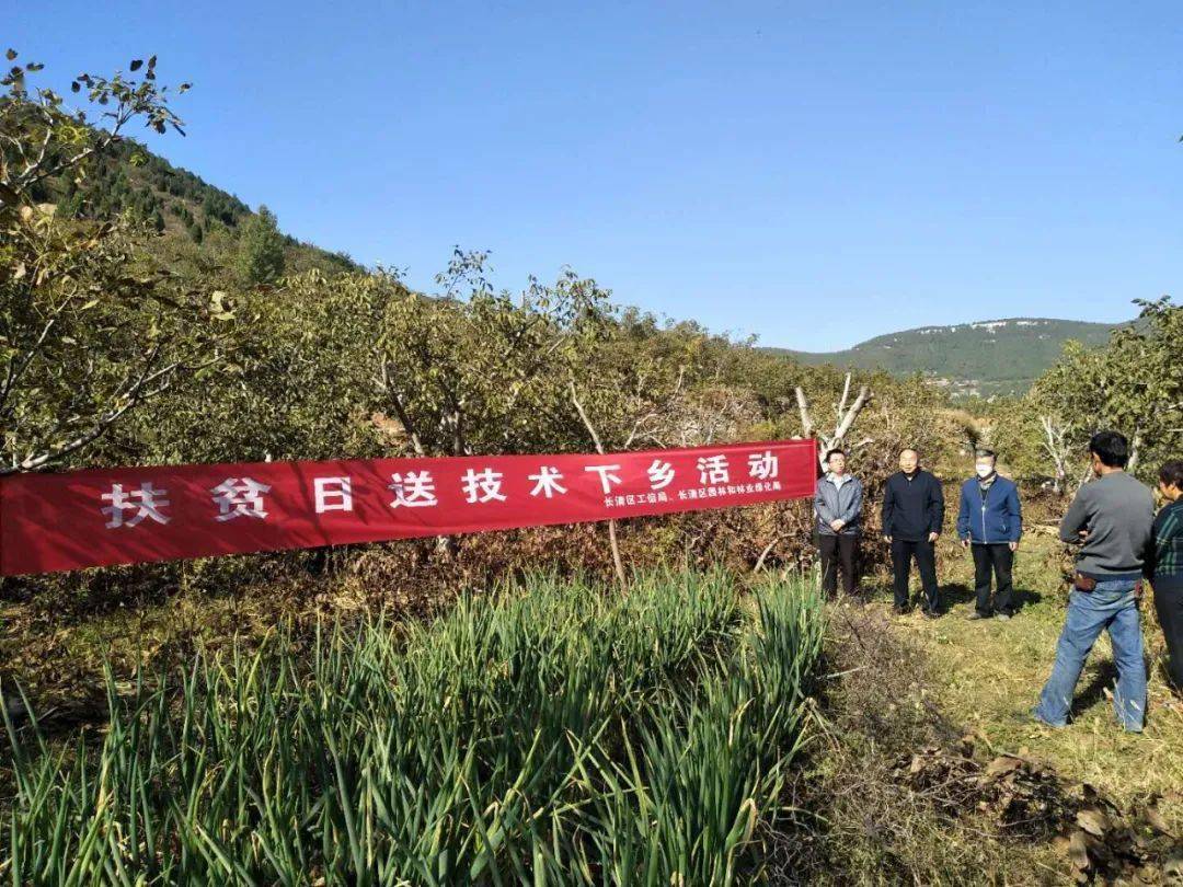 双泉狩猎场最新动态，自然体验与休闲狩猎的新天地开启