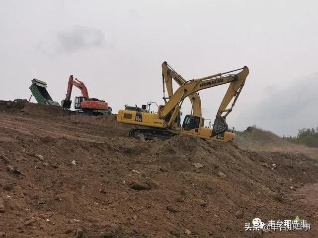 北京南苑森林湿地公园最新动态，生态建设明珠焕新光彩